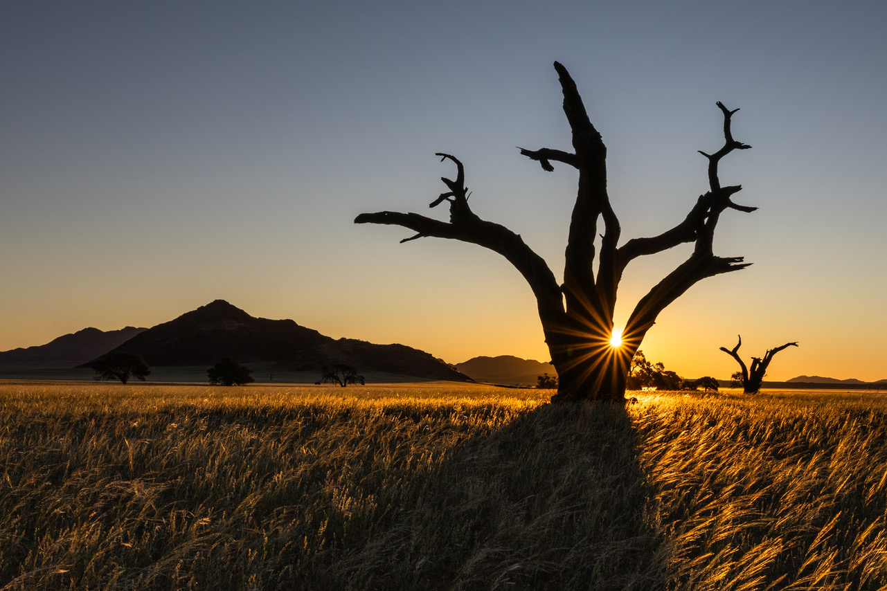 Vernissage zur Lounge-Ausstellung „Fernweh im Sucher – Unterwegs in Namibia und Patagonien“